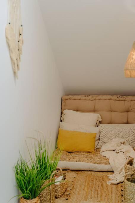 Super Oldtown Apartment Funchal  Bagian luar foto